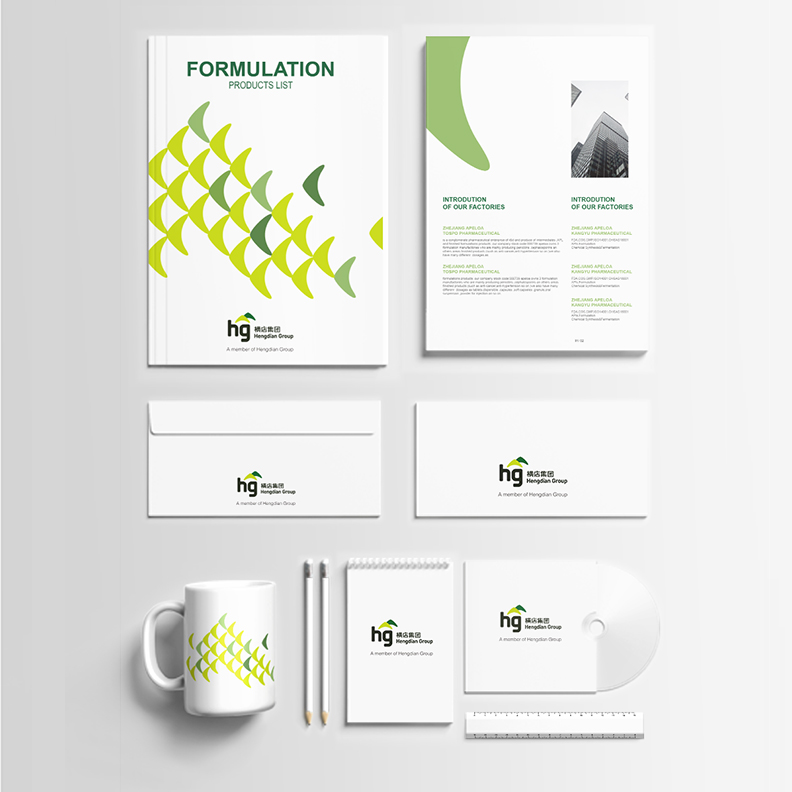 橫店集團畫冊設計、vi應用設計